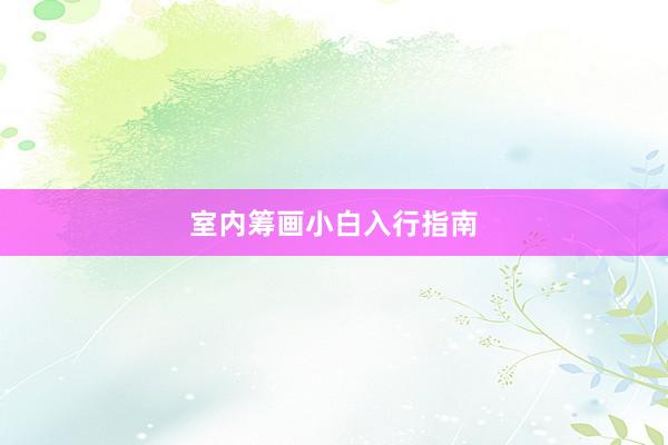 室内筹画小白入行指南
