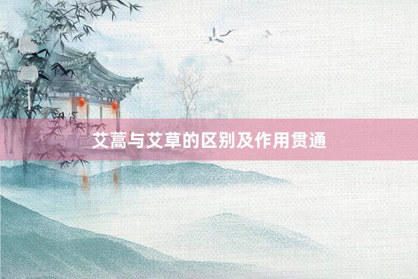 艾蒿与艾草的区别及作用贯通